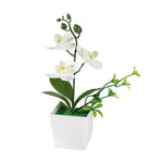 décoration intérieure orchidée artificielle pot blanc fleurs simples feuilles vertes moderne