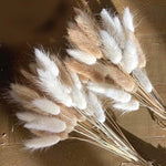 décoration boho plumes séchées naturelles mix beiges roses grises anniversaire maison