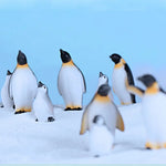 figurines animaux résine blanc noir jaune nautique pingouins phoque flocon neige détaillées maison jardinage