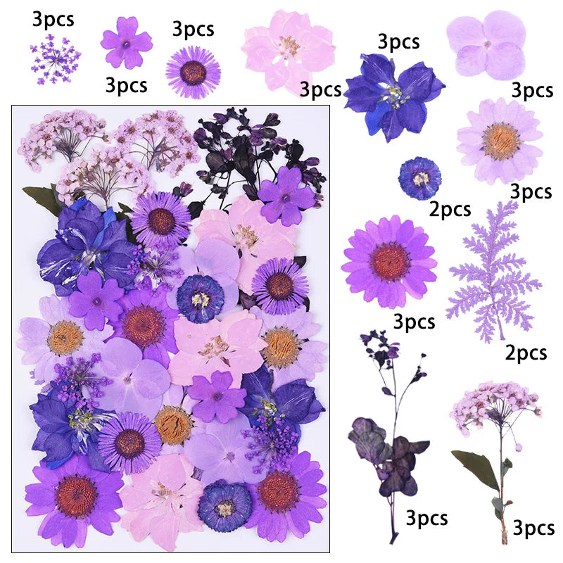 fleurs séchées variées violettes roses vertes blanches noires jaunes décoration artisanat bijoux