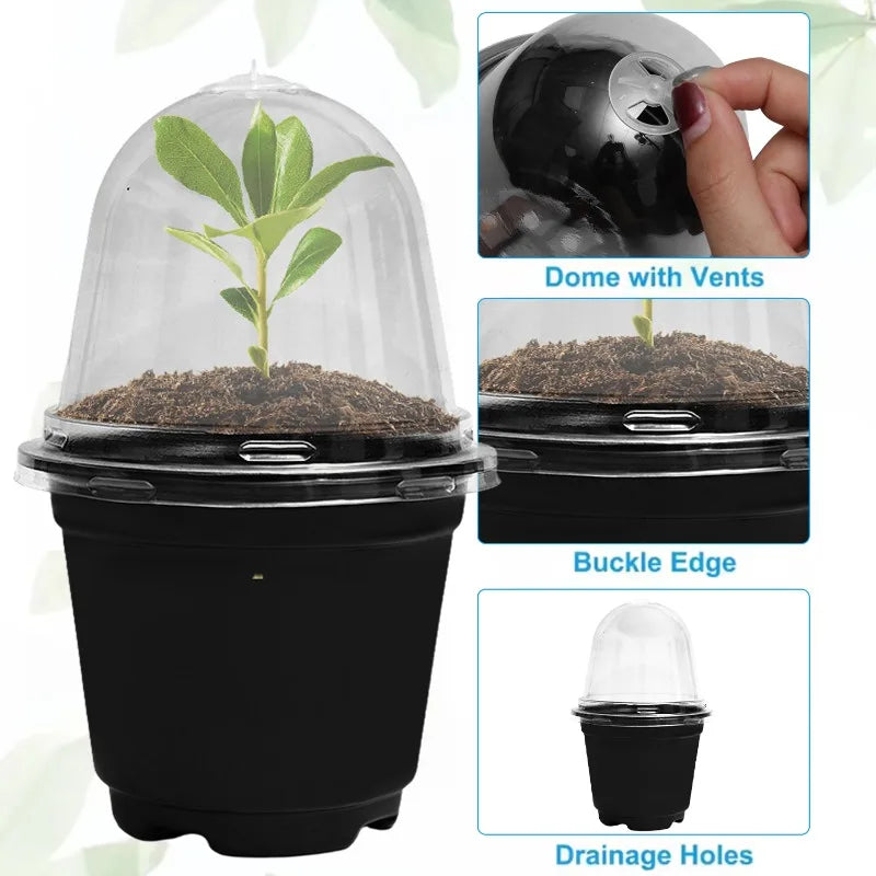 pots semis transparents modernes noir 3.5 inch 12pc jardinage fleurs plantation