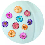 fleurs séchées marguerite camomille rose bleu orange violet décoration maison anniversaire baby shower