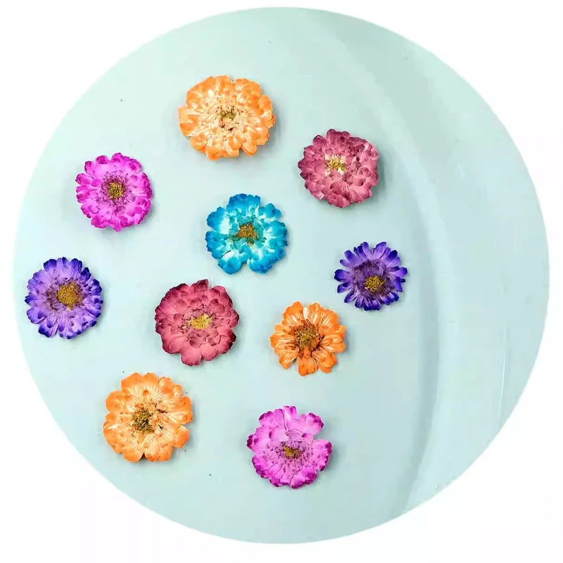 fleurs séchées marguerite camomille rose bleu orange violet décoration maison anniversaire baby shower