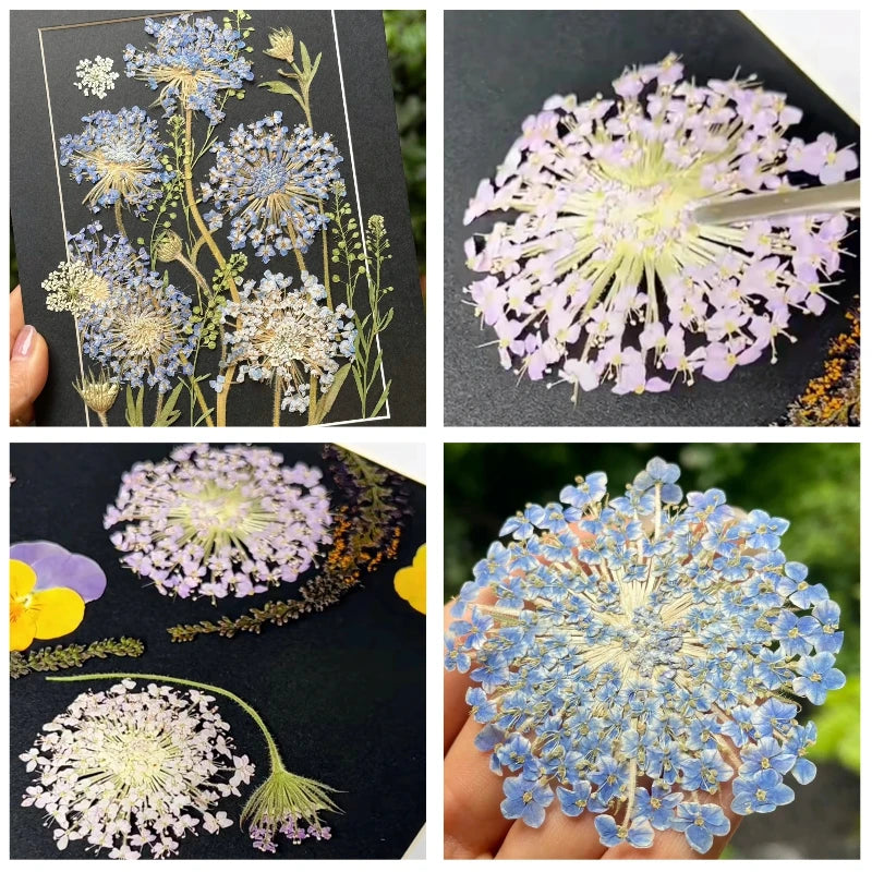 fleurs séchées violettes bleues décor maison anniversaire baby shower bricolage peinture décoration naturelle artificielle