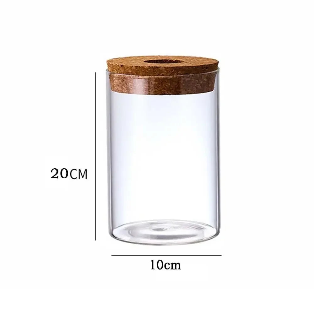 Pot plante hydroponique transparent moderne minimaliste 8cm 10cm 12cm 15cm 20cm