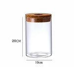 Pot plante hydroponique transparent moderne minimaliste 8cm 10cm 12cm 15cm 20cm
