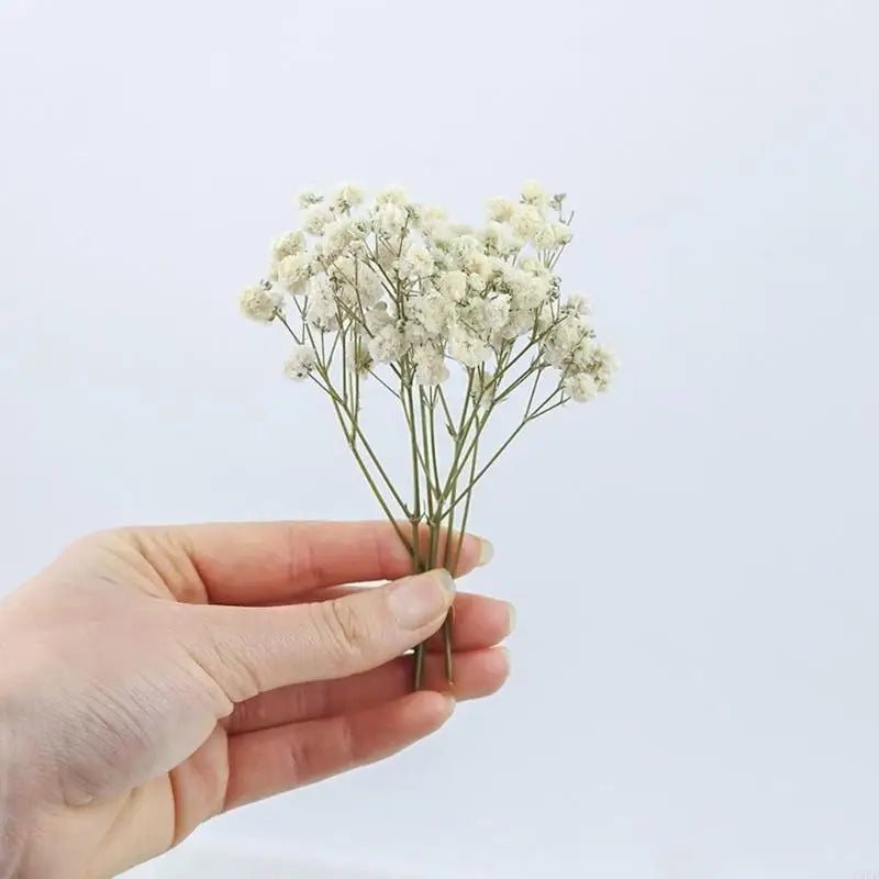 fleurs séchées blanches naturelles intérieur décoration table anniversaire fête petites fleurs tiges fines rustique