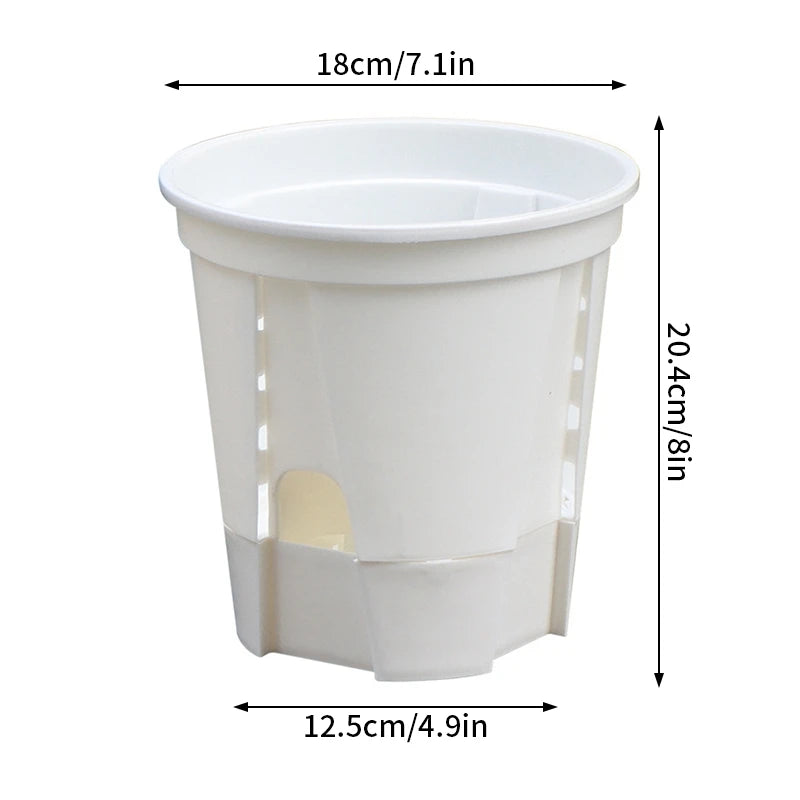 pots plantes auto arrosants transparents moderne blanc plateau d'eau