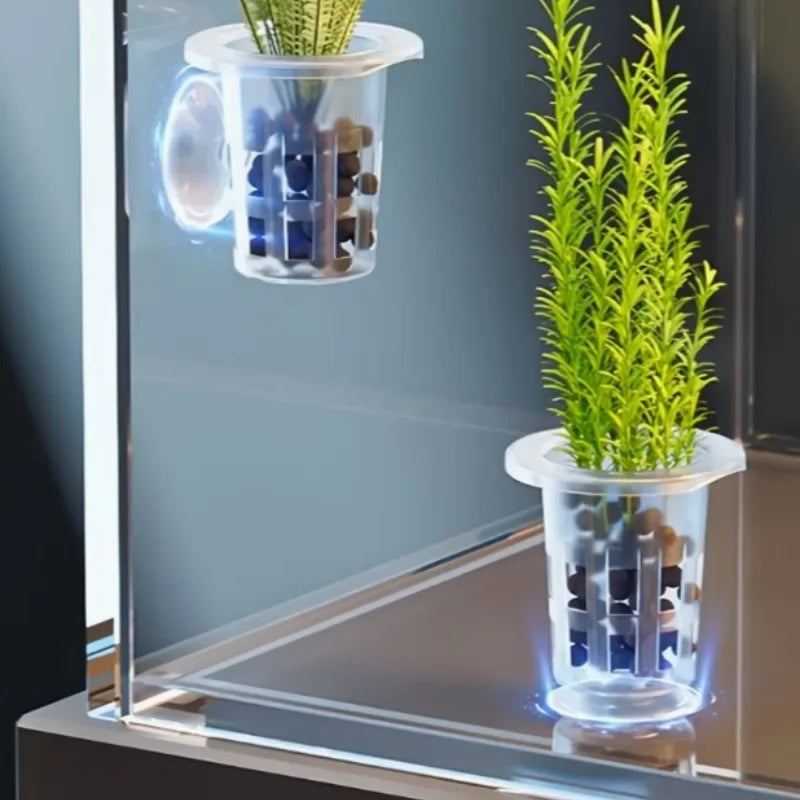 récipients aquatiques transparents ventouses plantes aquariophilie herbes fleurs billes decoratif vertical 10pcs