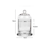 cloches verre moderne argenté violet rose vert transparentes