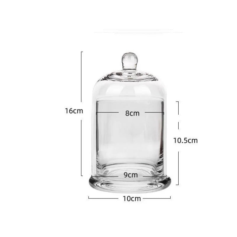 cloches verre moderne argenté violet rose vert transparentes