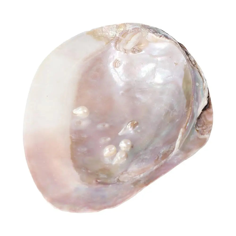 plateau rangement bijoux coquillage forme naturelle couleurs rose beige blanc iridescent minimaliste maison