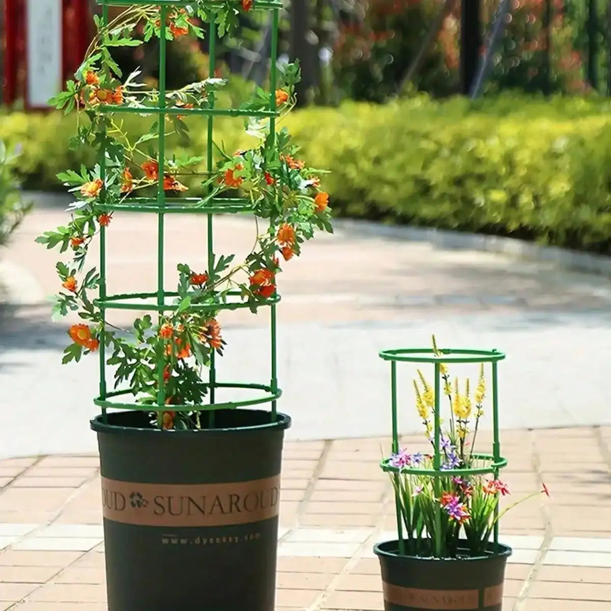 supports plantes grimpantes décoration jardin pots fleurs haute couleur vert ornemental métallique lisse