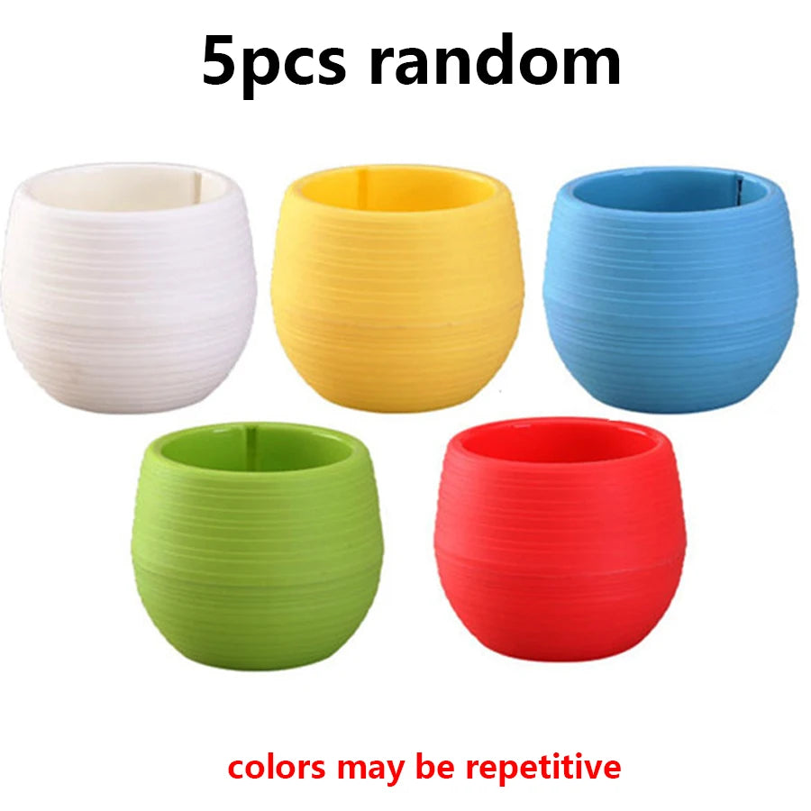 pots fleurs succulentes drainants couleur aléatoire rayures modernes transparents petite plante jardinière echangable