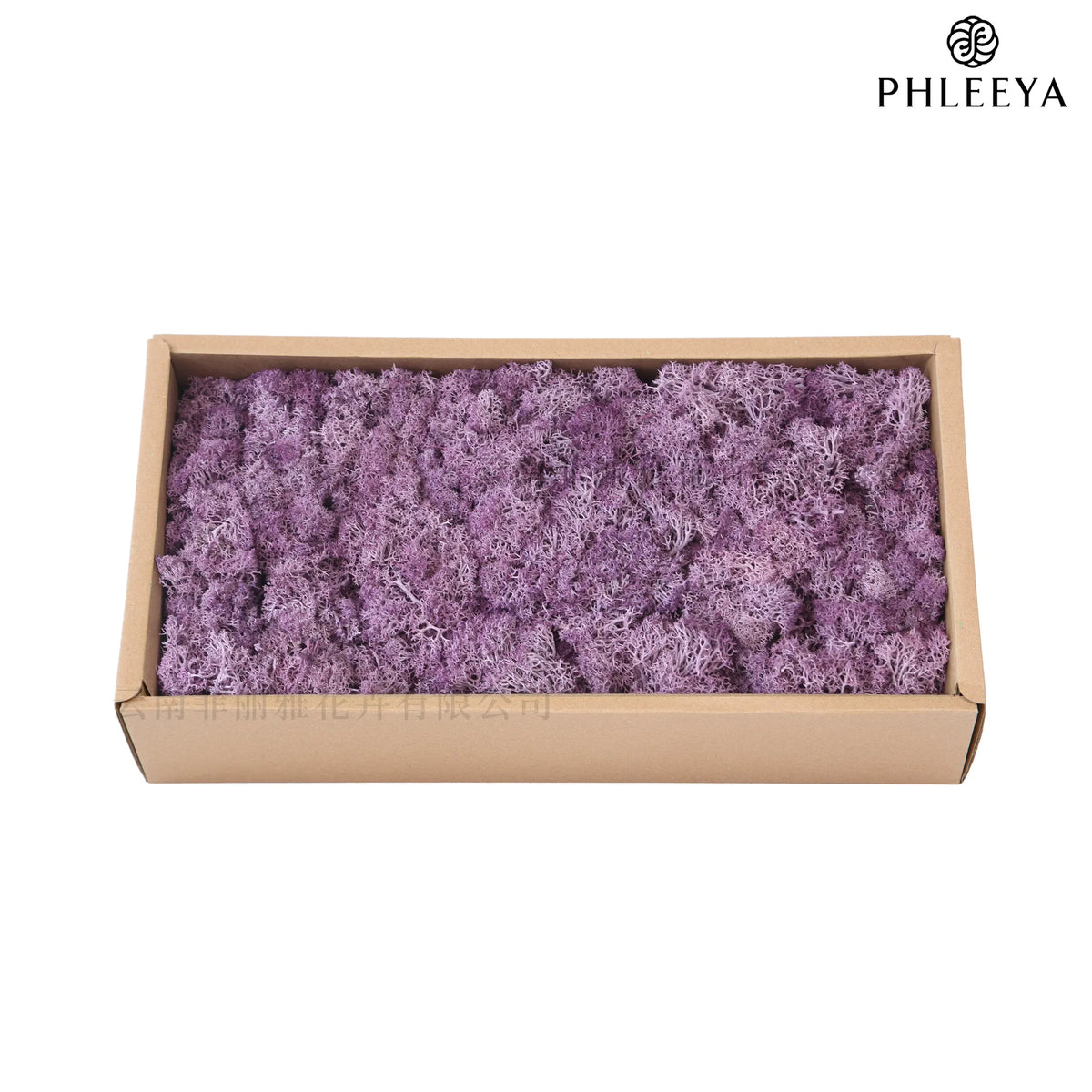 mousse séchée naturelle décorative fleurs séchées rustiques vert rose bleu violet maison intérieur