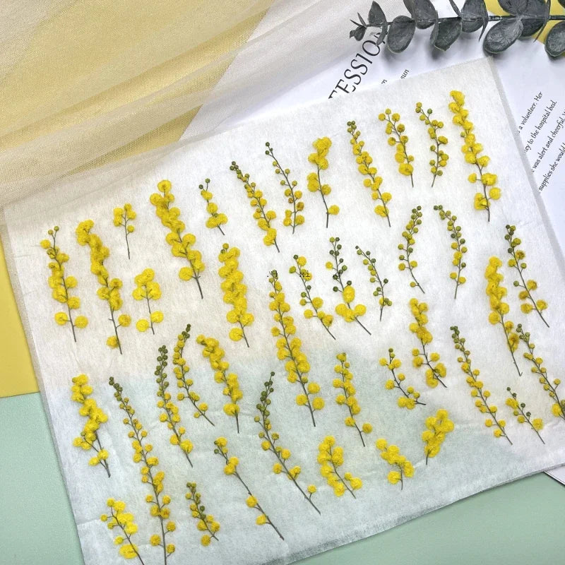 fleurs séchées acacia jaune vert bouquet naturel artisanal intérieur décoration maison anniversaire baby shower