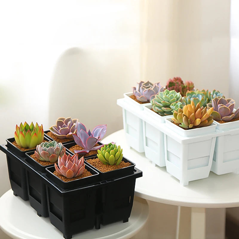 lot pot succulentes plastique blanc moderne trous drainage aération plantes maison