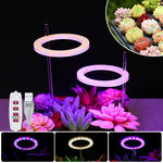 lumière croissance led usb rechargeable rose bleu blanc moderne minimaliste