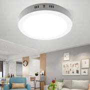 plafonnier led moderne minimaliste blanc gris lumiere froide 20w 30w chambre salon