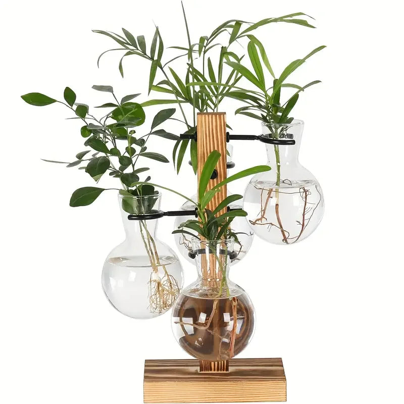 support plantes verre transparent bois marron clair minimaliste moderne racines apparentes contemporain decoration