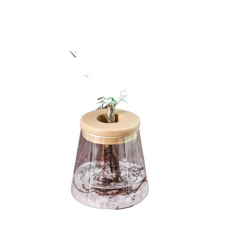 vase transparent moderne plastique couvercle bois plante artificielle minimalisteintérieur décoration