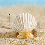 miniatures plage coquille étoile mer dauphin résine soleil palmier décor