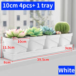 petit pot fleurs blanc plastique moderne cactus succulentes plateau intégré