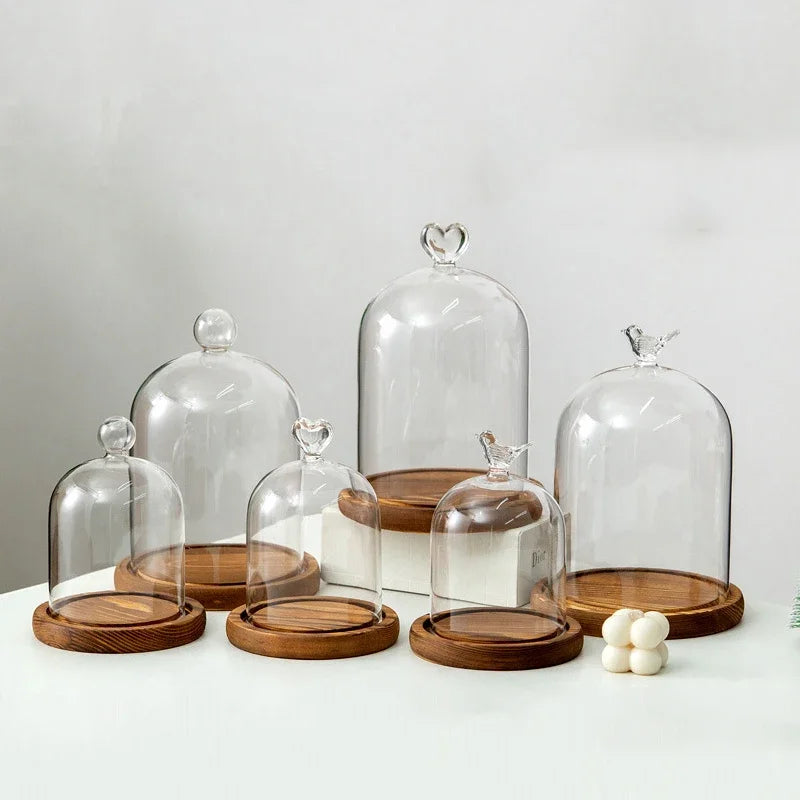cloche verre transparent base bois bougie parfumée décoration maison moderne