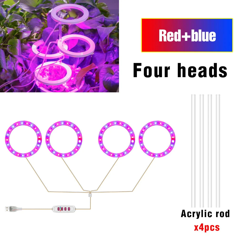 lumière croissance led usb 5v pink red blue sunlight controle remote moderne hydroponique