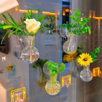 vases suspendus verre transparent modernes minimalistes adhésifs plantes intérieures