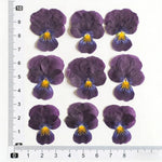 fleurs pressées violettes jaunes oranges decoration moderne assiette decoupe anniversaire intérieur maison