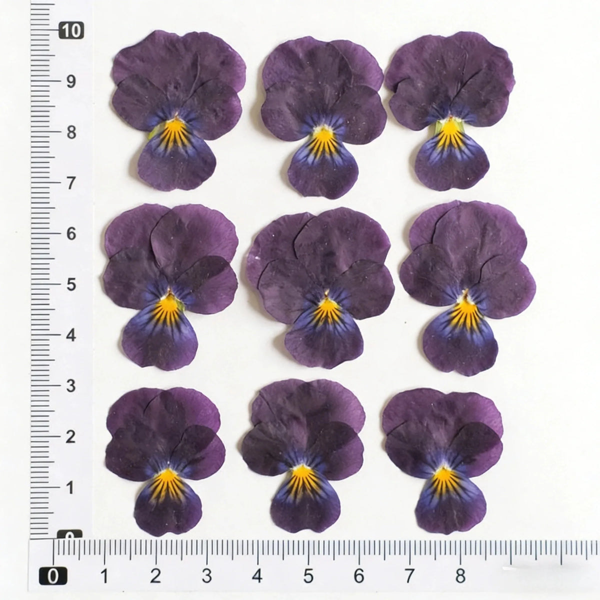 fleurs pressées violettes jaunes oranges decoration moderne assiette decoupe anniversaire intérieur maison