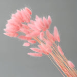 décoration intérieure bouquet fleurs sèches plumes modernes rose blanc vert pastel
