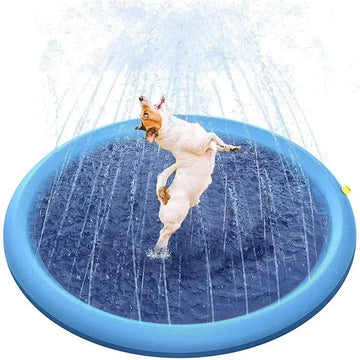 Piscine chiens jeu eau extérieure bleu disque sprinkler moderne mat