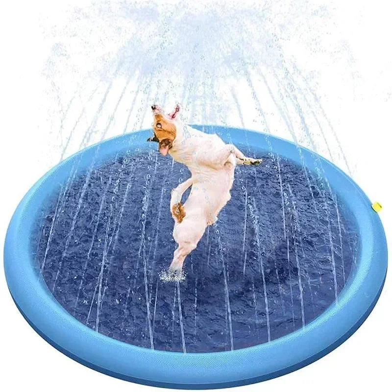 Piscine chiens jeu eau extérieure bleu disque sprinkler moderne mat