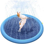 Piscine chiens jeu eau extérieure bleu disque sprinkler moderne mat