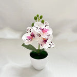 décoration intérieure orchidée artificielle blanche fleurs roses feuilles vertes moderne