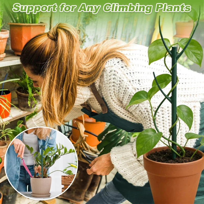 support plante grimpante vert moderne clips ficelle ruban nylon inclusion set jardin fixations