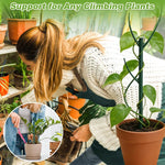 support plante grimpante vert moderne clips ficelle ruban nylon inclusion set jardin fixations