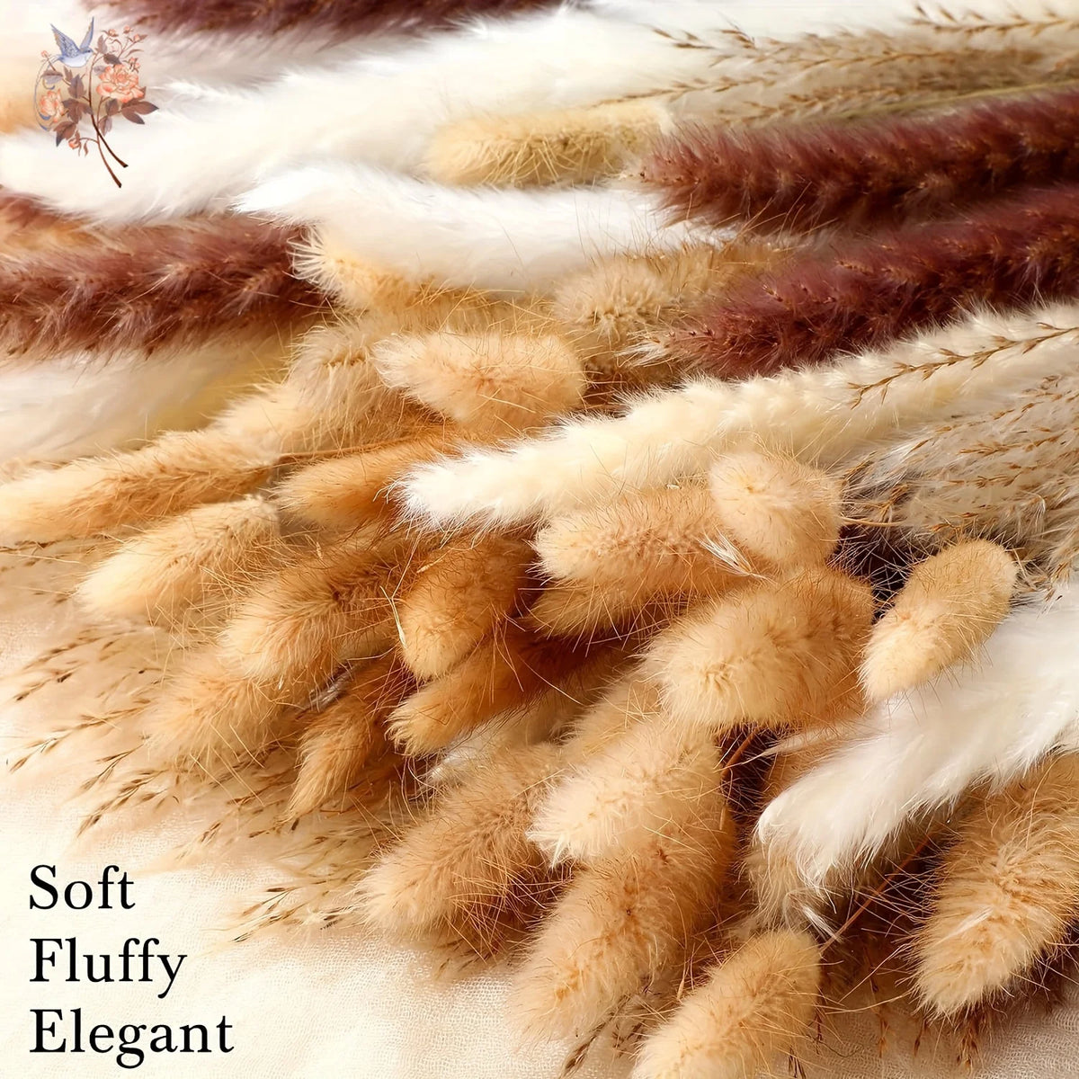 fleurs sèches plumes herbes naturelles décoration maison anniversaire mariage vases élégantes blanc marron fluffy