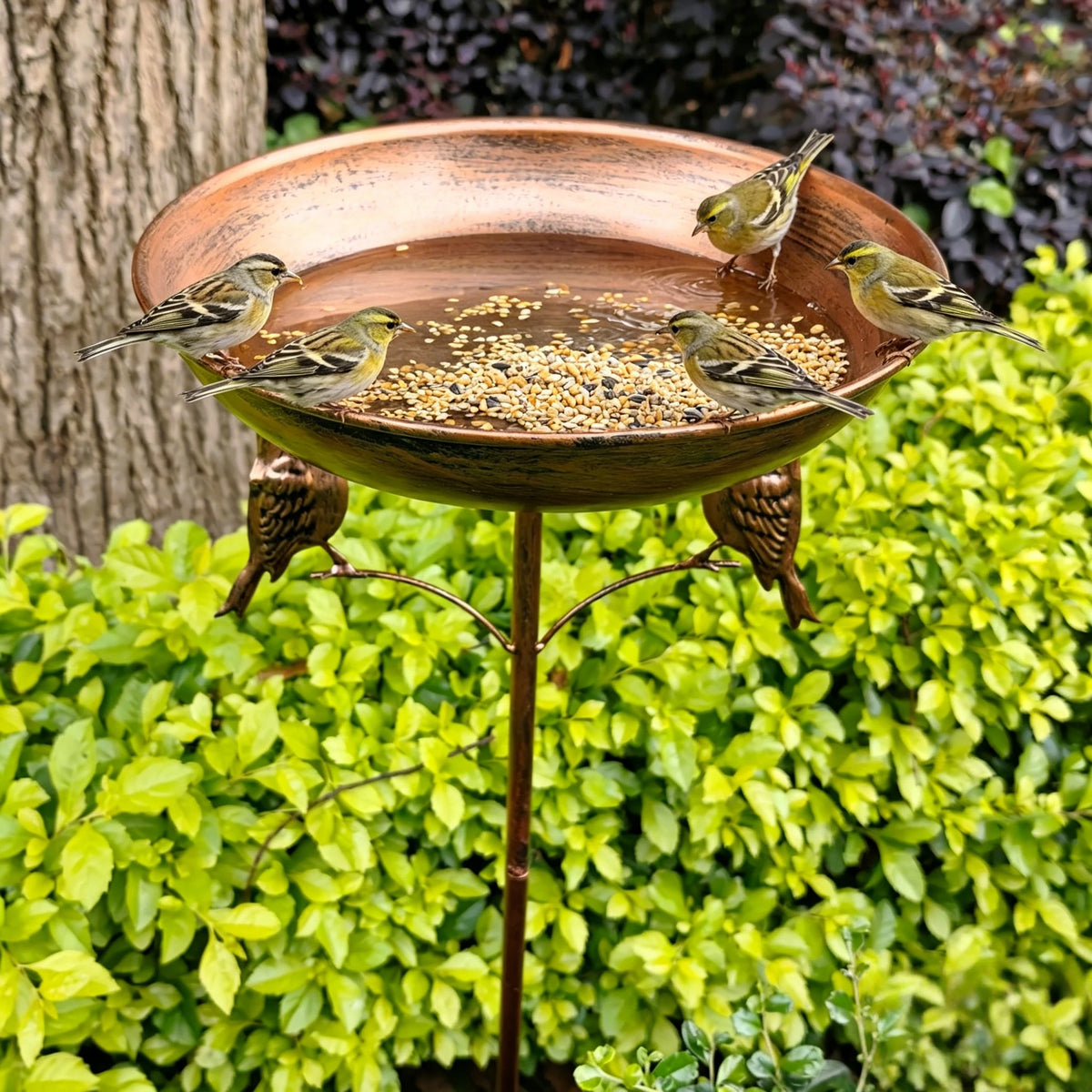 fontaine oiseaux cuivre ciselée classique jardin rustique tringle stable attrape oiseaux deco extérieure sécurité