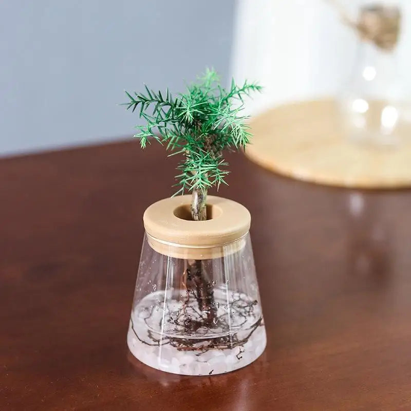 vase transparent moderne plastique couvercle bois plante artificielle minimalisteintérieur décoration