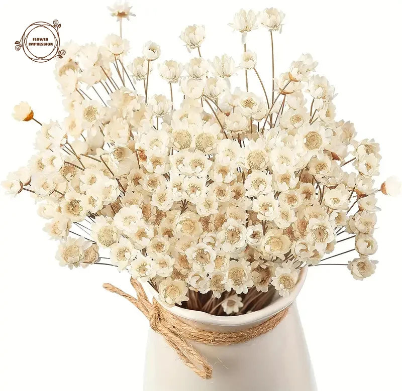 bouquet fleurs séchées blanc naturel ruban jute décoration maison anniversaire baby shower festive rustic