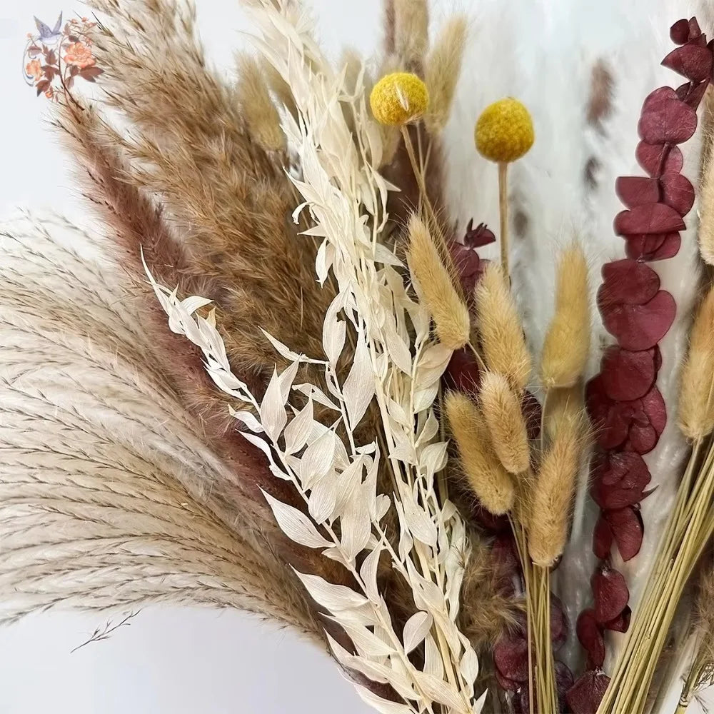 bouquet fleurs séchées pampas naturelles décoration maison anniversaire mariage rouges rustiques