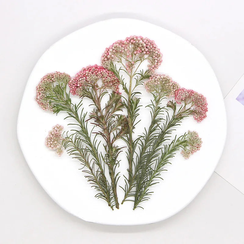 assiette blanche coquillage relief perlée fleurs séchées feuilles vertes décoration intérieure minimaliste naturelle classic