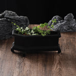 cache pot rectangulaire noir blanc epoxy classique pieds plantes vertes