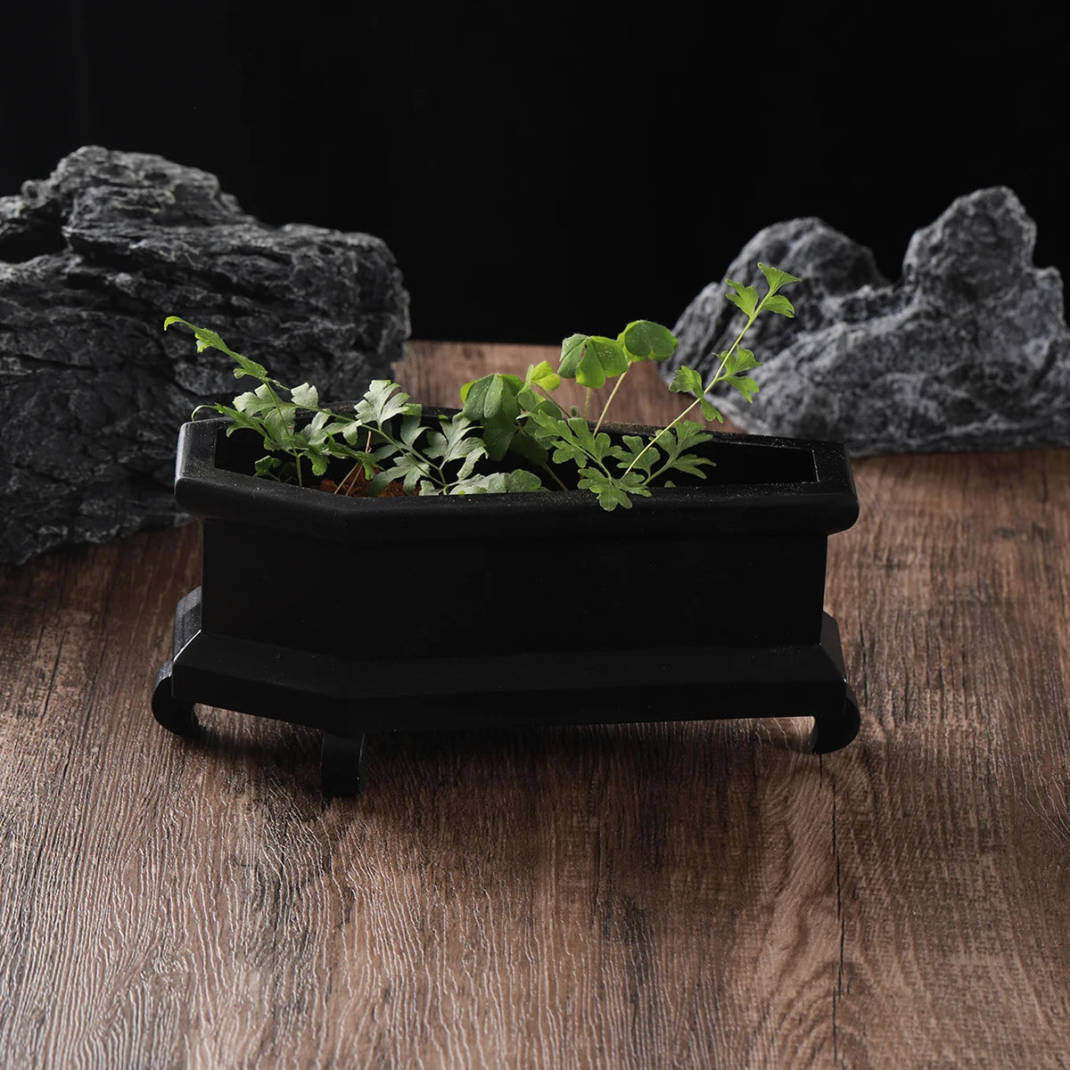 cache pot rectangulaire noir blanc epoxy classique pieds plantes vertes