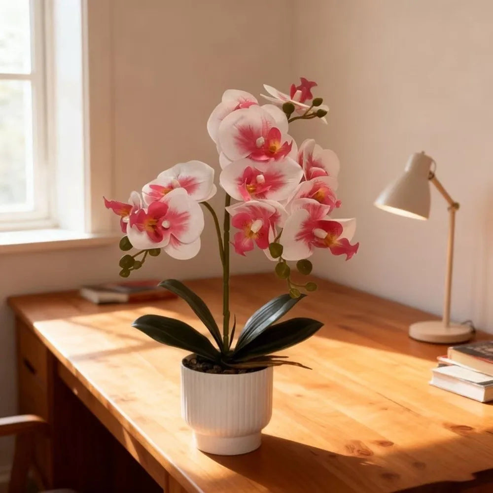 décoration intérieure orchidées artificielles fleurs douces rose blanc pot blanc gravier moderne élégant accroché