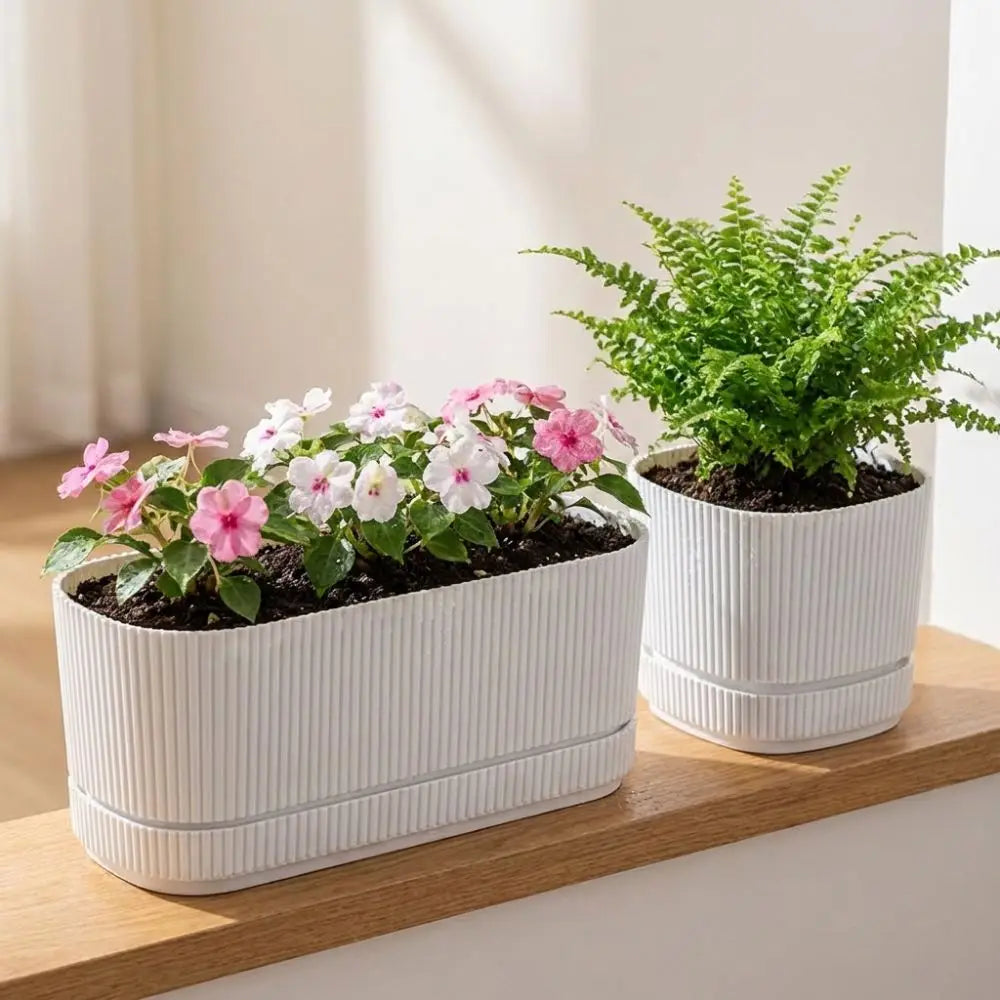 pots fleurs auto arrosants double couche drainage moderne pensées fougère plante verte minimaliste lignes