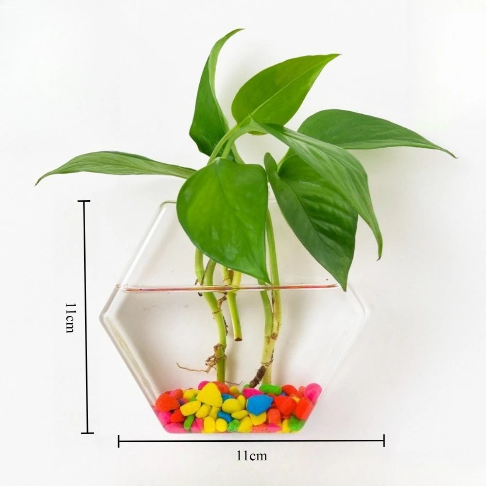 terrariums muraux verre transparent cuivre modernes petits milieux grands clips fixations plantes galets